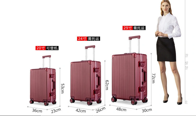 Fashion Quality ABS+PC 20"24"29" Inch Wheeled Trolley Luggage Business Leisure Travel Draw-Bar Boarding Suitcase Bag Box Case (CY6856)