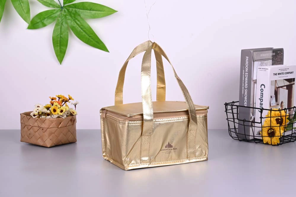 Custom Logo Portable Picnic Insulation Bag Cooler Lunch Thermal Bag